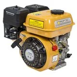 Двигун Forte F200G