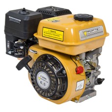 Двигатель Forte F200G