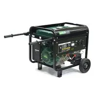 Бензиновий генератор Iron Angel EG5500E