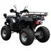 Квадроцикл Spark SP175 в Україні