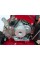 Мотоблок Weima WM 610AE 