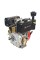 Двигатель Vitals DM 12.0kne