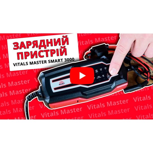 Зарядное устройство Vitals Master Smart 3000
