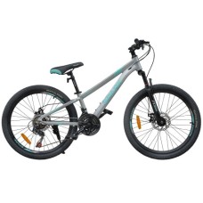 Велосипед SPARK FLEX 24